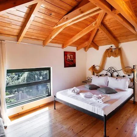 Olga By Вилла *